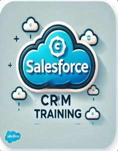 SalesForce Training in 